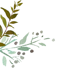 forest leaf